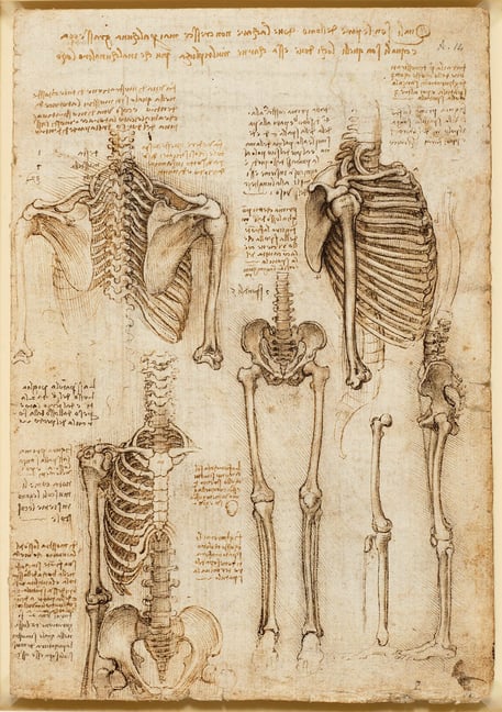 Anatomy-Drawings_Da-Vinci_2