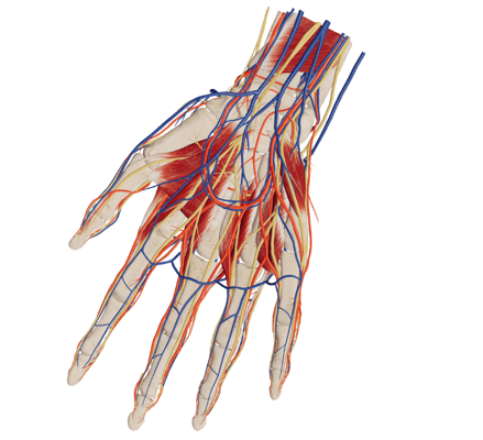 Bildschirmfoto 2025-12-09 um 16.01.16